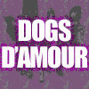 dogs d'amour
