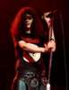 Joey Ramone microphone
